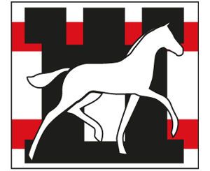 Logo Drentse Veulenveiling