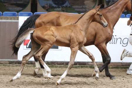44.Van Sevv